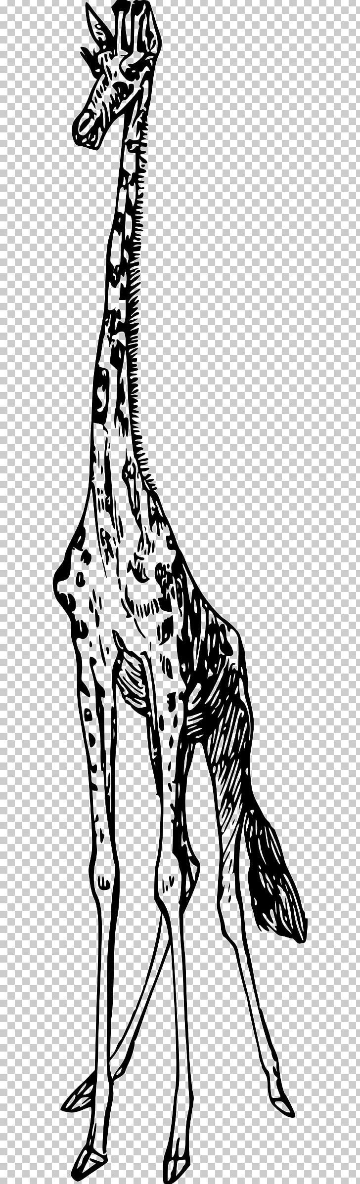 Giraffe Computer Icons PNG, Clipart, Animal, Animal Figure, Animals, Black And White, Computer Icons Free PNG Download