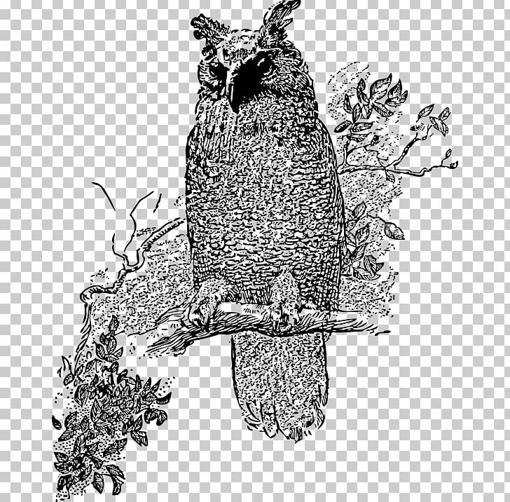 Great Horned Owl Bird PNG, Clipart, Animals, Art, Barred Owl, Baykus, Beak Free PNG Download