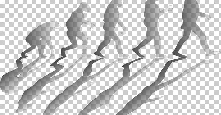 Human Evolution Social Media Evolutionary Psychology Social Evolution PNG, Clipart, Angle, Arm, Black And White, Business, Charles Darwin Free PNG Download