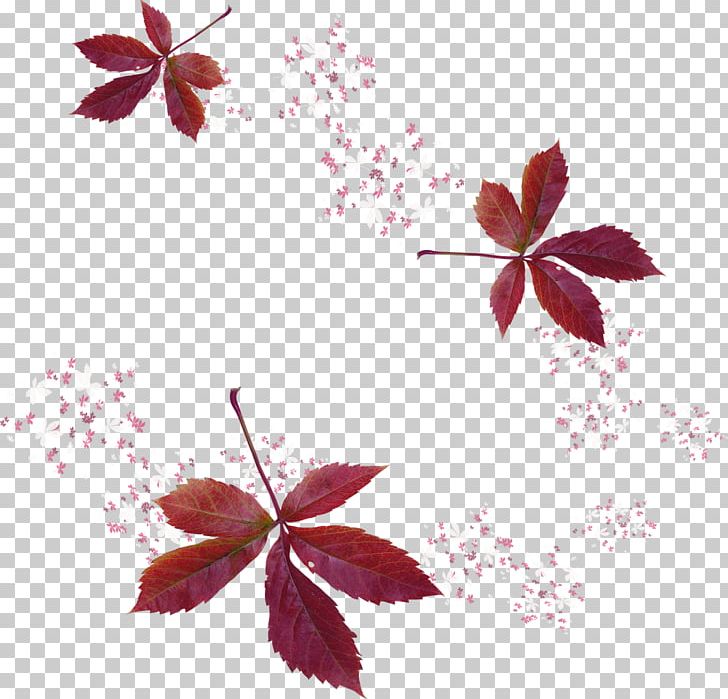 Leaf Painter Autumn PNG, Clipart, Art, Autumn, Autumn Leaves, Blog, Branch Free PNG Download