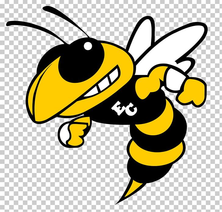Hinsdale South High School Charlotte Hornets Sport High School Football Basketball PNG, Clipart, Artwork, Bee, Black And White, Butterfly, Darien Free PNG Download