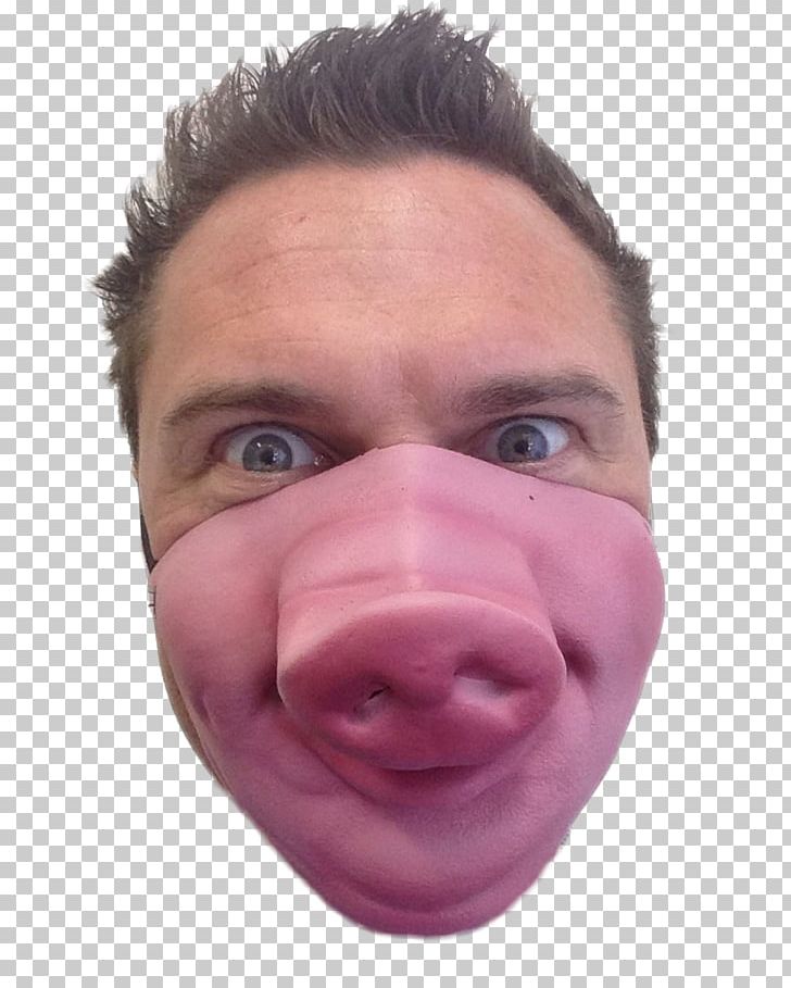 Snout Pig Mask Costume Party PNG, Clipart, Animals, Bachelor Party, Cheek, Chin, Closeup Free PNG Download