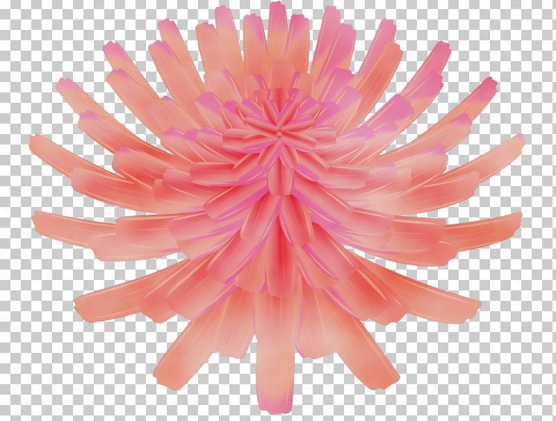 Artificial Flower PNG, Clipart, Artificial Flower, Chrysanthemum, Cut Flowers, Dandelion, Dandelion Flower Free PNG Download