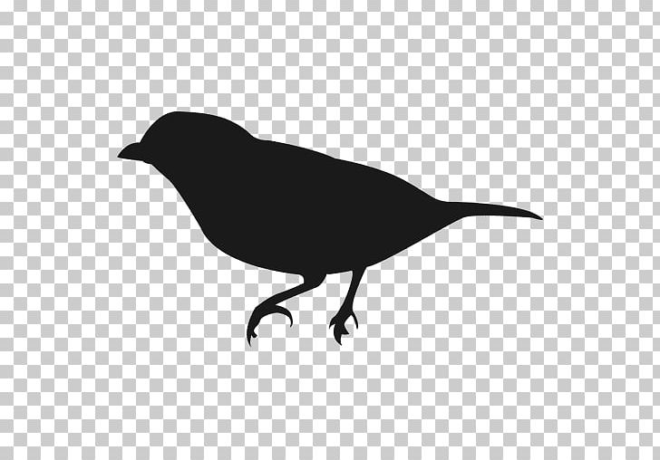 American Crow Silhouette Bird Portable Network Graphics Owl PNG, Clipart, American Crow, Beak, Bird, Black And White, Crow Free PNG Download