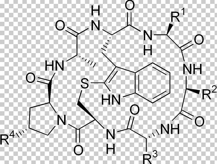 Phallotoxin Death Cap Amatoxin Alpha-Amanitin Phalloidin PNG, Clipart, Amanita, Amatoxin, Angle, Area, Black And White Free PNG Download