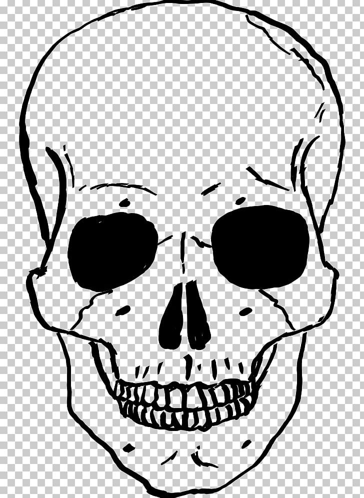 Skull Human Skeleton Drawing PNG, Clipart, Artwork, Black And White, Bone, Clipart, Clip Art Free PNG Download