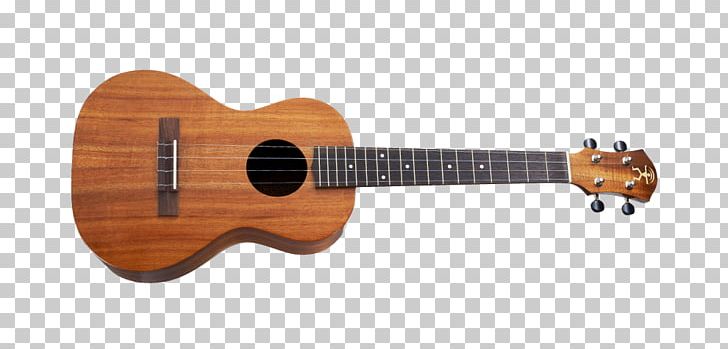 Taylor Guitars Taylor GS Mini Acoustic Guitar Bass Guitar PNG, Clipart, Acoustic Bass Guitar, Cuatro, Guitar Accessory, Guitarist, String Instrument Free PNG Download