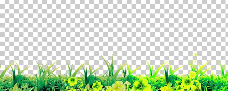 Clover Google S Computer File PNG, Clipart, Artificial Grass, Cartoon Grass, Clover, Computer, Computer File Free PNG Download
