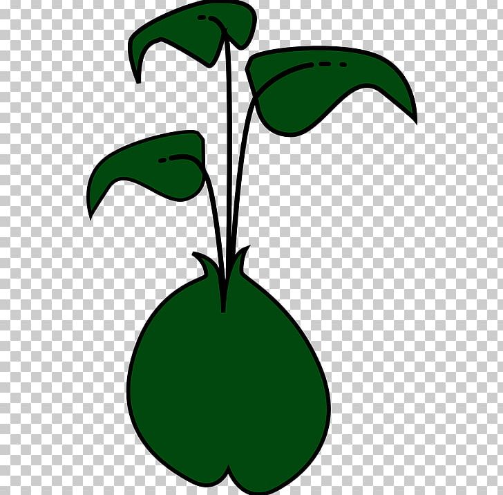 Sprouting Bean Brussels Sprout PNG, Clipart, Artwork, Bean, Black And White, Broccoli Sprouts, Brussels Sprout Free PNG Download