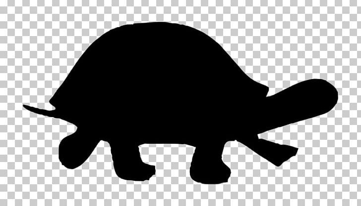 Turtle Silhouette PNG, Clipart, Animals, Black, Black And White, Carnivoran, Cat Free PNG Download