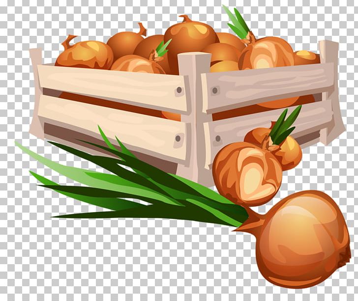 Fruit Vegetable Drawing Illustration PNG, Clipart, Cabbage, Cartoon, Cartoon Garlic, Chili Garlic, Citrullus Lanatus Free PNG Download