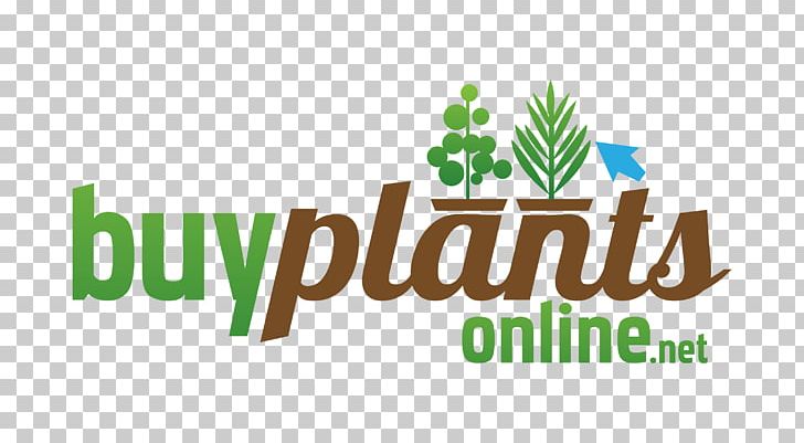 Nursery Plant Bog Garden Ornamental Grass PNG, Clipart, Allium, Brand, Food Drinks, Garden, Garden Centre Free PNG Download