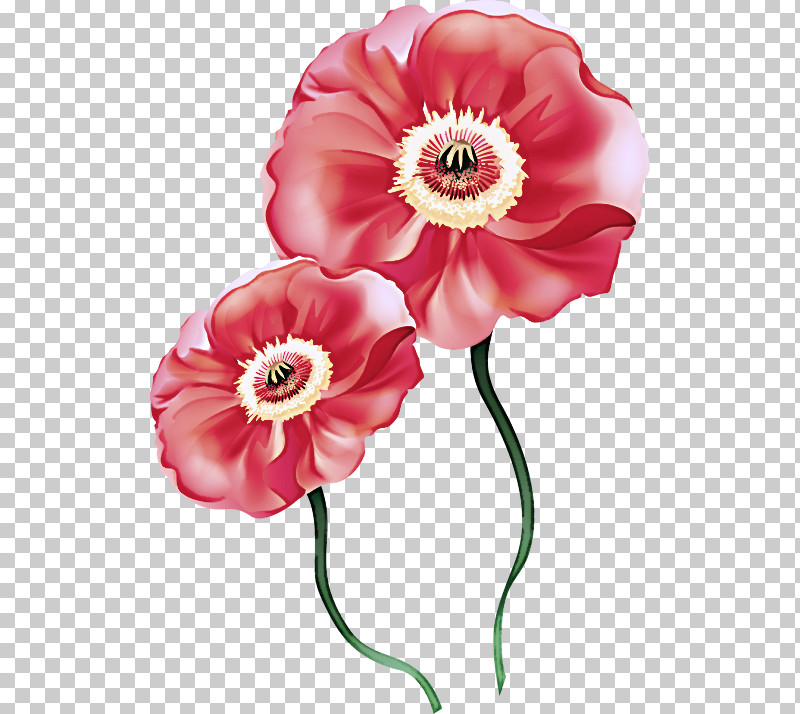Artificial Flower PNG, Clipart, Anemone, Artificial Flower, Corn Poppy, Cut Flowers, Flower Free PNG Download