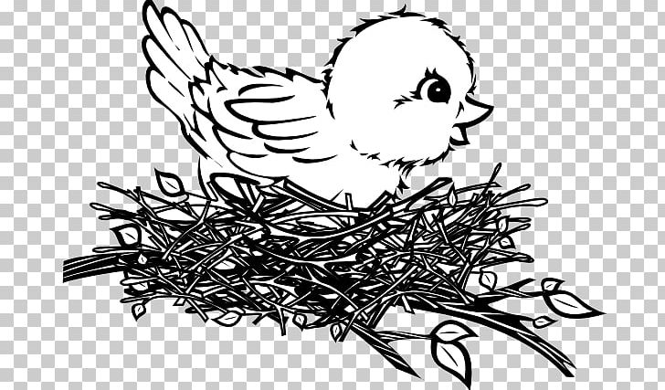 Bird Nest Bird Nest Drawing PNG, Clipart, Art, Artwork, Beak, Bird, Bird Nest Free PNG Download