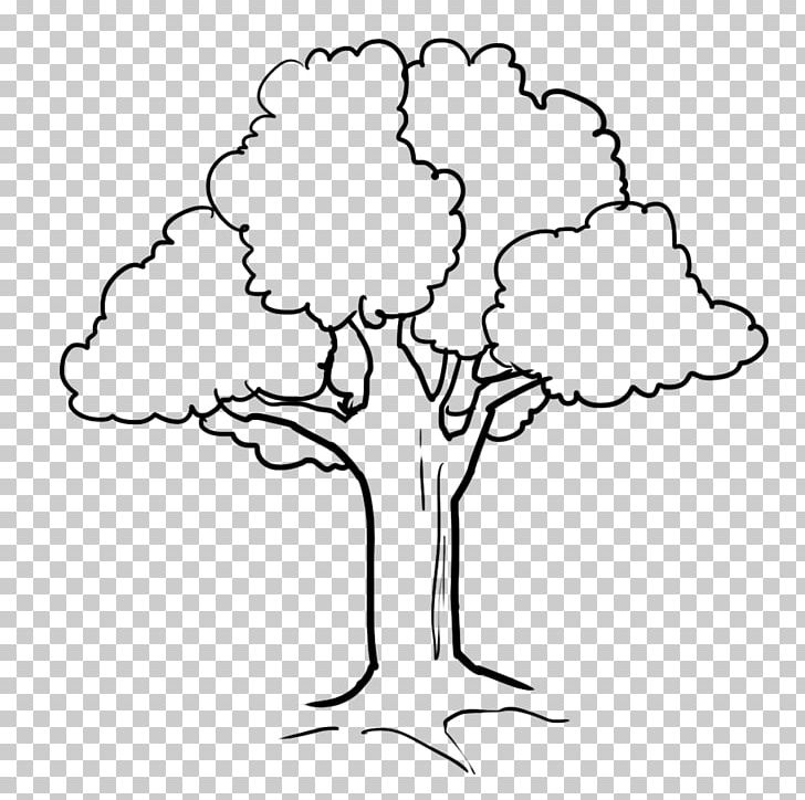 Coloring Book Tree Drawing PNG, Clipart, Adult, Area, Artwork, Aspen, Beak Free PNG Download