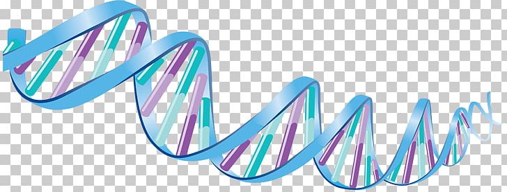 DNA PNG, Clipart, Dna Free PNG Download