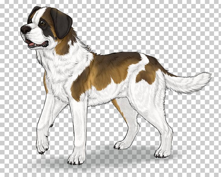 Drentse Patrijshond St. Bernard English Foxhound Dog Breed Companion Dog PNG, Clipart, Breed, Breed Group Dog, Carnivoran, Companion Dog, Dog Free PNG Download