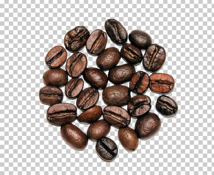 Jamaican Blue Mountain Coffee Cocoa Bean Brown Commodity Nut PNG, Clipart, Bean, Brown, Chocolate Coated Peanut, Cocoa Bean, Commodity Free PNG Download