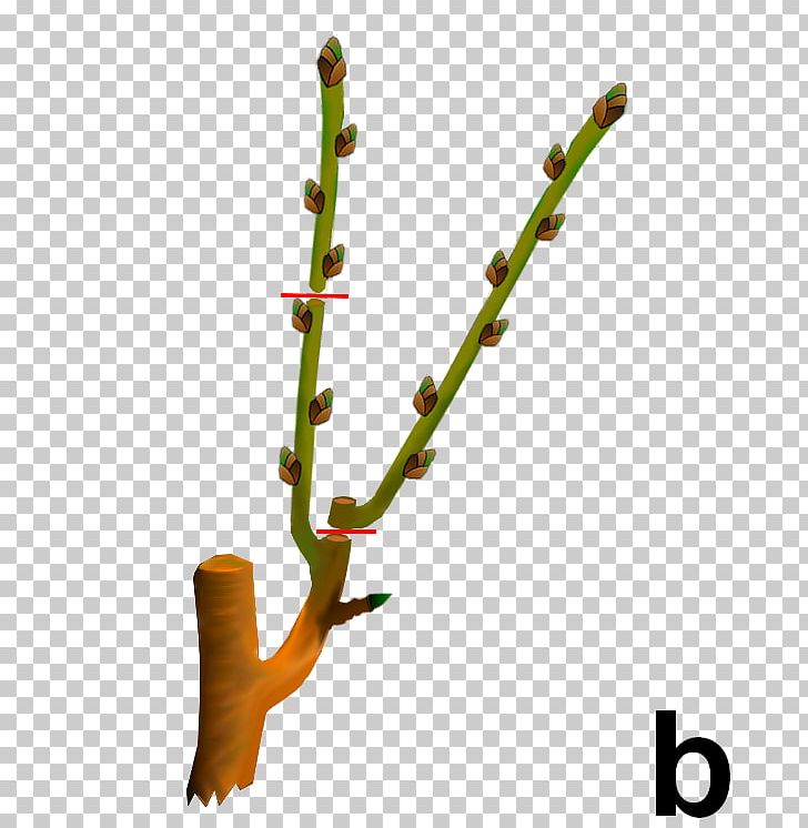Twig Plant Stem PNG, Clipart, Branch, Dard, Others, Plant, Plant Stem Free PNG Download
