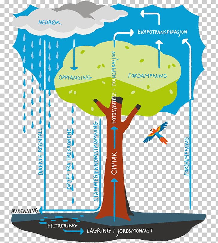 Water Resources Product Design Energy Graphics PNG, Clipart, Area, Diagram, Energy, Line, Nature Free PNG Download