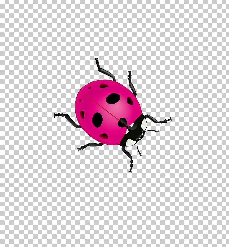 Beetle Ladybird Coccinella Septempunctata PNG, Clipart, Arthropod, Beetle, Color, Download, Encapsulated Postscript Free PNG Download