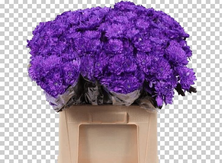 Lavender Flower Violet Hardy Chrysanthemums Lilac PNG, Clipart, Artificial Flower, Chrysanthemum, Color, Cut Flowers, Flowering Plant Free PNG Download
