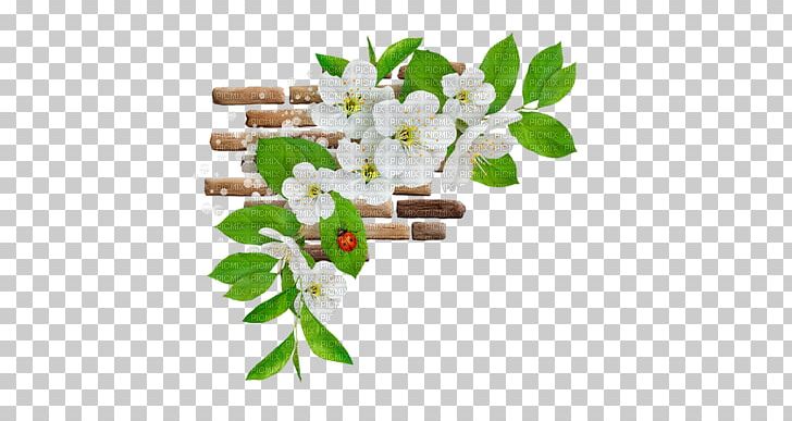 Animation Flower Tenor PNG, Clipart, Animation, Blossom, Branch, Cari, Cartoon Free PNG Download