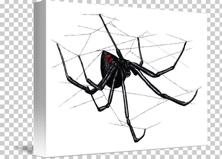 Spider Web Latrodectus Hesperus Southern Black Widow PNG, Clipart, Arachnid, Art, Arthropod, Black And White, Black Widow Spider Free PNG Download