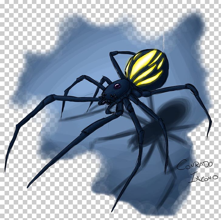 Widow Spiders Angulate Orbweavers STX G.1800E.J.M.V.U.NR YN Insect PNG, Clipart, Angulate Orbweavers, Arachnid, Araneus, Arthropod, Black Widow Free PNG Download
