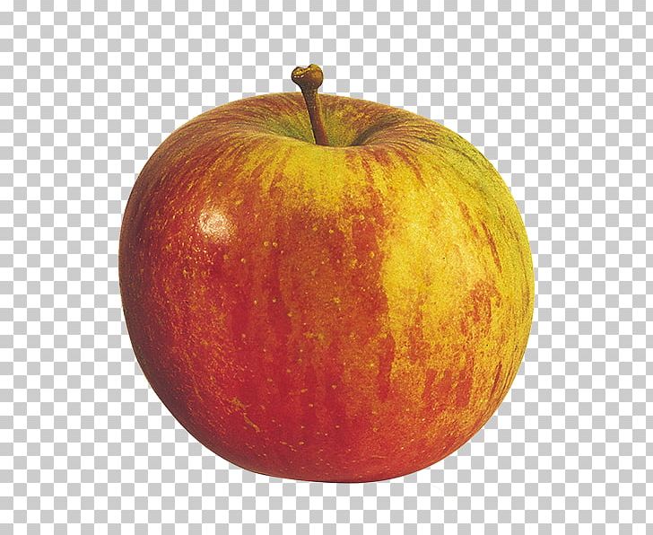 Apple Fuji Tentation McIntosh Orchard PNG, Clipart, Apple, Belle De Boskoop, Braeburn, Calabaza, Cripps Pink Free PNG Download