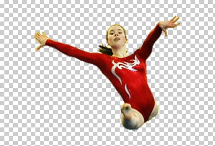 Artistic Gymnastics Sport Rhythmic Gymnastics Floor PNG, Clipart, Artistic Gymnastics, Floor, Floor Gymnastics, Gymnast, Gymnastics Free PNG Download