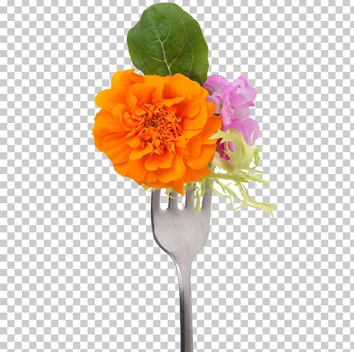 Edible Flower Shoot Salad PNG, Clipart, Artificial Flower, Avocado, Cucumber, Cut Flowers, Cutlery Free PNG Download