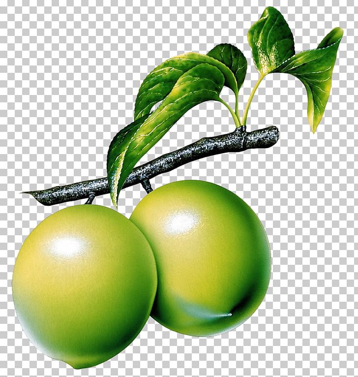 Guava Sake PNG, Clipart, Apple, Citrus, Common Guava, Desktop Wallpaper, Food Free PNG Download