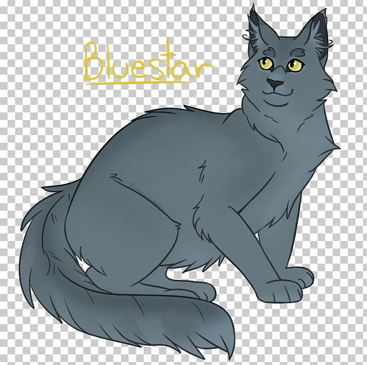 Korat Whiskers Wildcat Drawing Domestic Short-haired Cat PNG, Clipart, Artist, Black Cat, Canidae, Carnivoran, Cat Free PNG Download