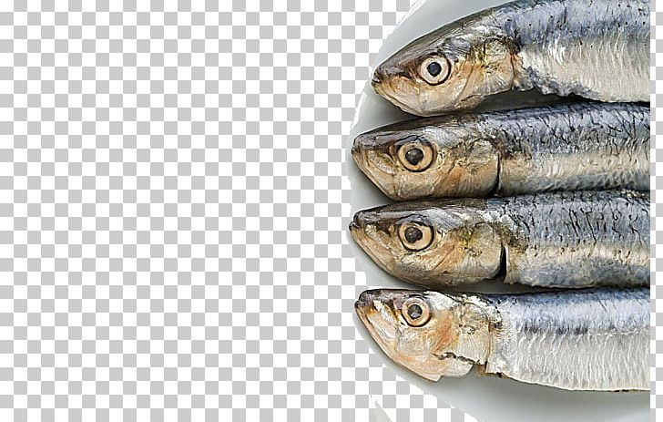 Dietary Supplement Omega-3 Fatty Acid Fish Oil Docosahexaenoic Acid Eicosapentaenoic Acid PNG, Clipart, Animals, Animal Source Foods, Black White, Eating, Fat Free PNG Download