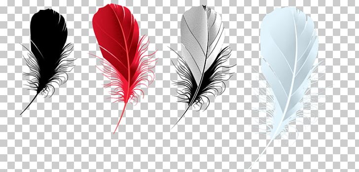 Feather PhotoFiltre Brush PNG, Clipart, Animals, Brush, Computer Software, Desktop Wallpaper, Feather Free PNG Download