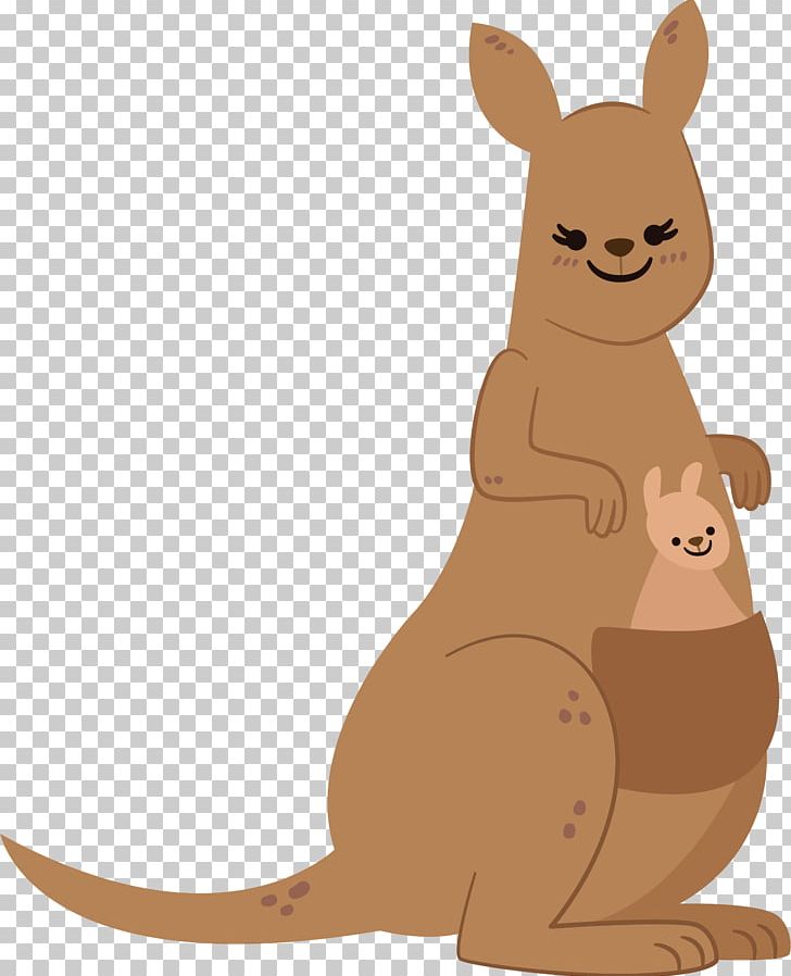 Kangaroo Macropodidae Mother PNG, Clipart, Animals, Baby Kangaroo, Carnivoran, Cartoon, Child Free PNG Download