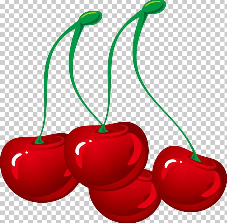 Cherry Euclidean Vecteur PNG, Clipart, Cherry, Cherry Blossom, Cherry Blossoms, Cherry Decoration, Cherry Vector Free PNG Download