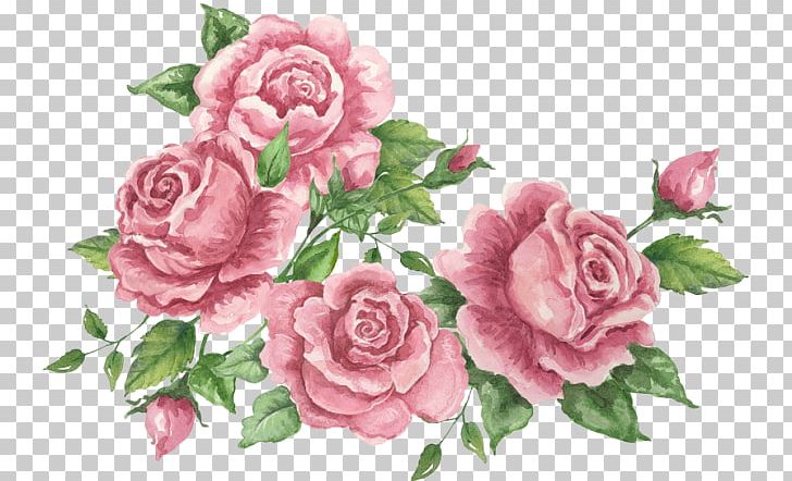Garden Roses Cabbage Rose Flower Floral Design PNG, Clipart, Art, Crossstitch, Cut Flowers, Embroidery, Floribunda Free PNG Download