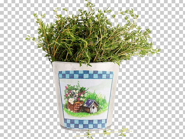 Pianta Aromatica Herb Plant Thymes Grass PNG, Clipart, Basil, Bay Laurel, Condiment, Dill, Fines Herbes Free PNG Download