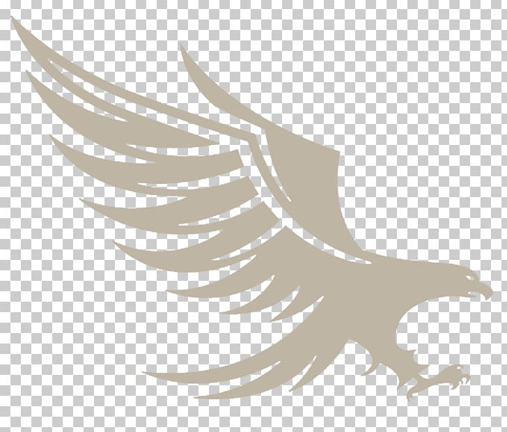 Business First Affinity Insurance Solutions Organization Service PNG, Clipart, Affinity, Beak, Bird, Bird Of Prey, Black And White Free PNG Download