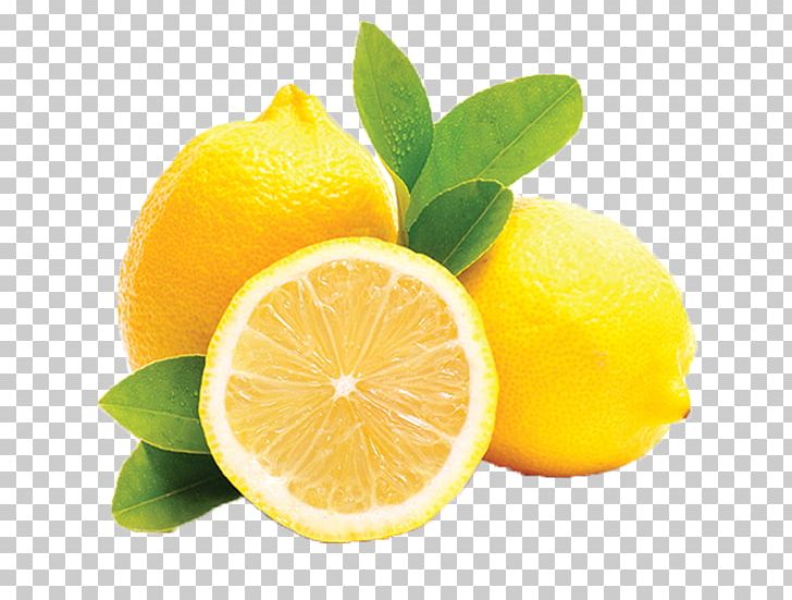 Mayorazgo Export S.L. Lemon Agesco SL Sorbet Fruit PNG, Clipart ...