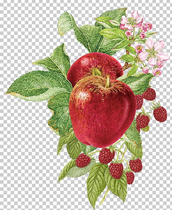 Strawberry Wild Roots Vodka Marionberry Food Apple Pioneer Place PNG, Clipart, Apple, Food, Fruit, Fruit Nut, Local Food Free PNG Download