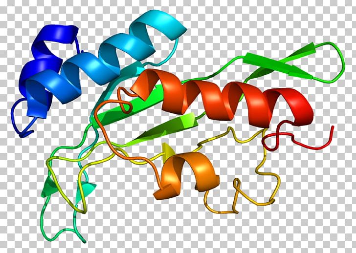 TSG101 Gene Product Protein Cell PNG, Clipart, Artwork, Cell, Coiled Coil, Dna, Gene Free PNG Download