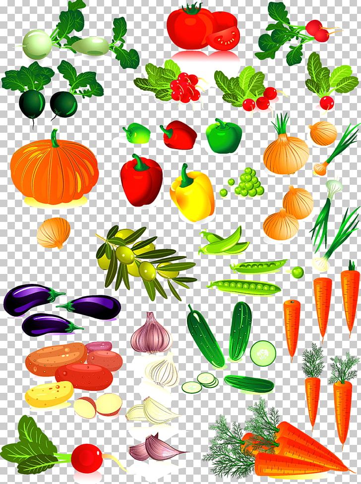 Vegetable PNG, Clipart, Artwork, Bell Pepper, Carrot, Chi, Collection ...