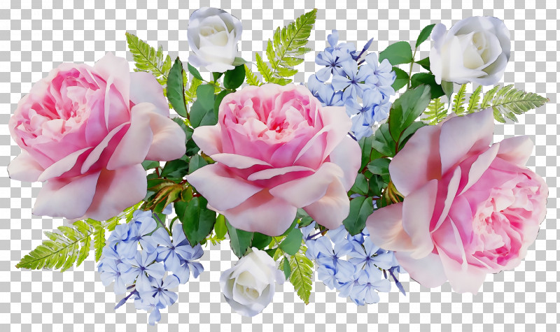 Garden Roses PNG, Clipart, Artificial Flower, Cabbage Rose, Cut Flowers, Floral Design, Flower Free PNG Download