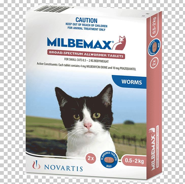 Cat Kitten Heartworm Milbemycin Oxime PNG, Clipart, Cat, Cat Like Mammal, Heartworm, Hookworm Infection, Kitten Free PNG Download