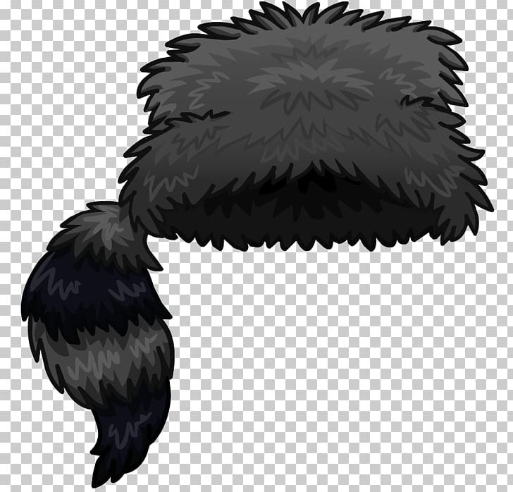 Raccoon Coonskin Cap Hat PNG, Clipart, Animals, Beak, Beret, Bird, Bird Of Prey Free PNG Download