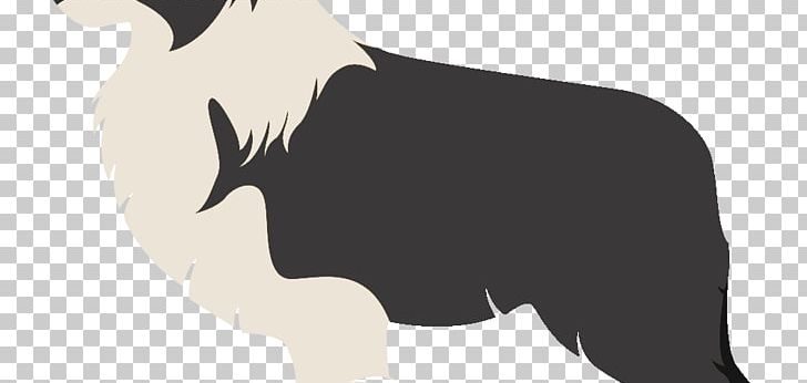 Rough Collie Border Collie Scotch Collie Old English Sheepdog Australian Shepherd PNG, Clipart, Australian Cattle Dog, Australian Shepherd, Black, Border Collie, Boskapshund Free PNG Download