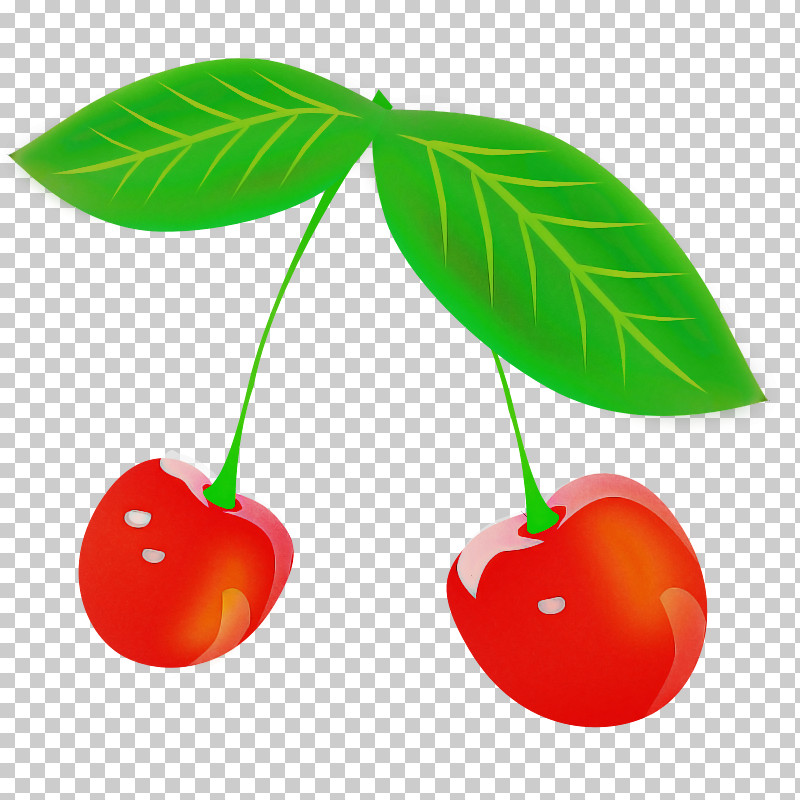 Cherry Cherry Pie Fruit Fruit Logo PNG, Clipart, Apple, Cherry, Cherry Pie, Fruit, Logo Free PNG Download